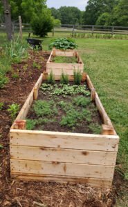 A raised garden bed